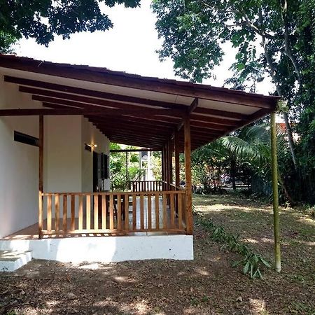 Puerto Viejo de Talamanca Green Papayaヴィラ エクステリア 写真