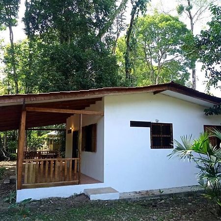 Puerto Viejo de Talamanca Green Papayaヴィラ エクステリア 写真