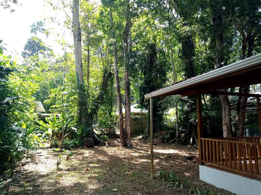 Puerto Viejo de Talamanca Green Papayaヴィラ エクステリア 写真
