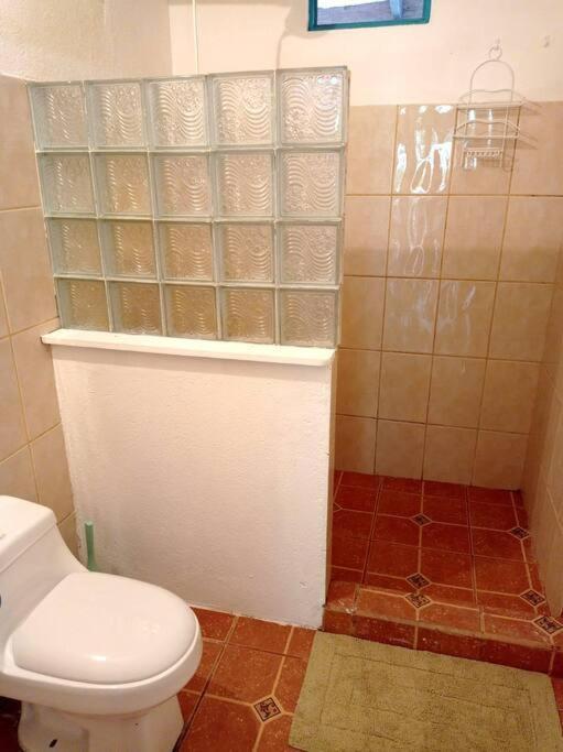 Puerto Viejo de Talamanca Green Papayaヴィラ エクステリア 写真