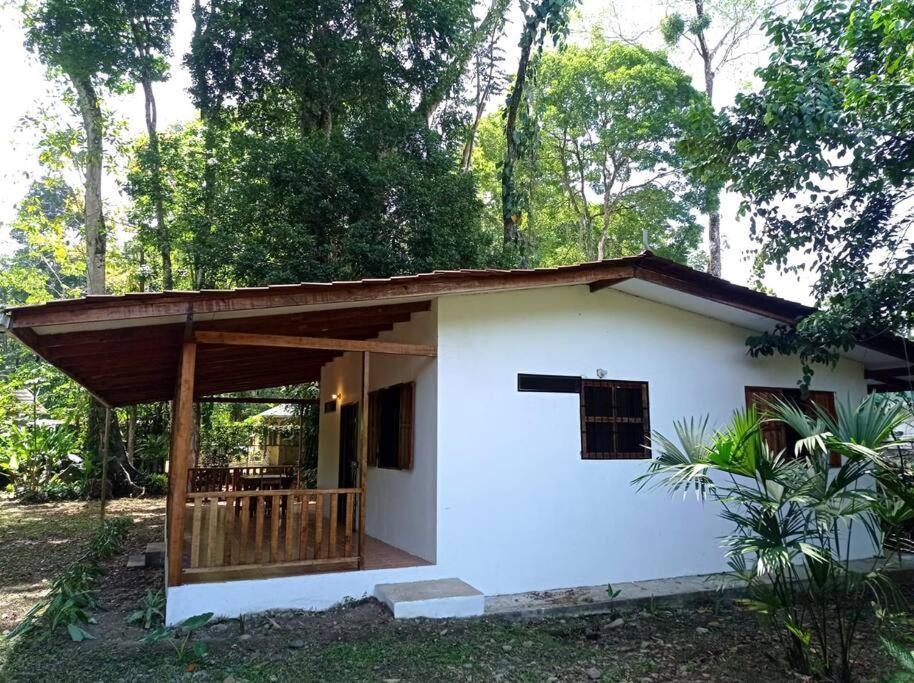 Puerto Viejo de Talamanca Green Papayaヴィラ エクステリア 写真