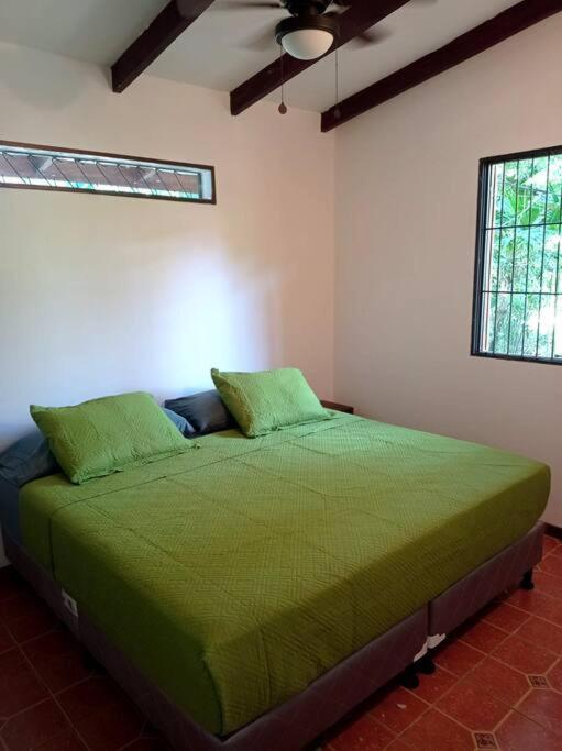 Puerto Viejo de Talamanca Green Papayaヴィラ エクステリア 写真